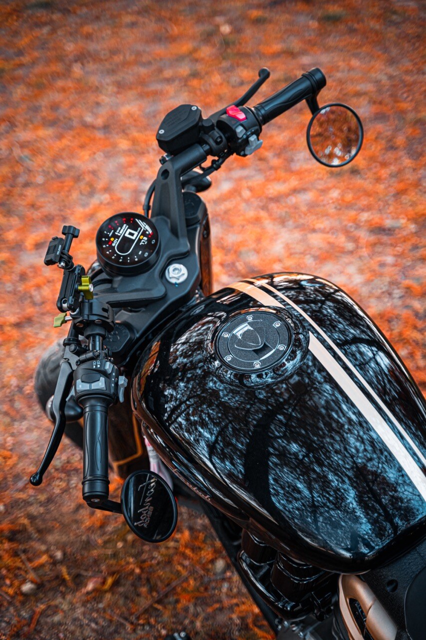 Benda Napoleon 500 Bobber, Phân Phối Chính Hãng, Giá Rẻ Tại Hà Nội