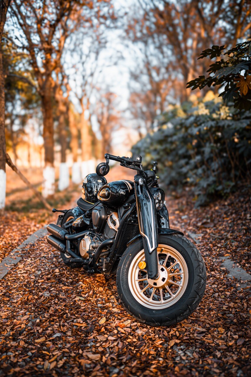 Benda Napoleon 500 Bobber, Phân Phối Chính Hãng, Giá Rẻ Tại Hà Nội