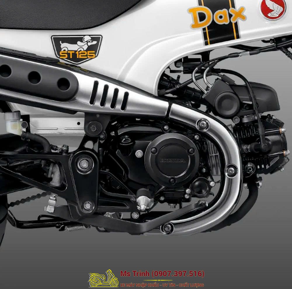 Honda Dax ST125 2026 tại Hà Nội - Minibike huyền thoại khung T-Bone đầy cá tính